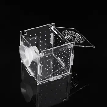 Akvariumo žuvų veisimo izoliavimo dėžutė Kūdikių žuvų inkubatoriaus liukas Veisėjas Žuvų bakas