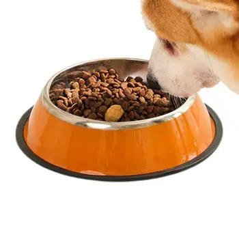 nerūdijančio plieno šunų maisto dubuo neslidūs naminių gyvūnėlių dubenys sausam ir šlapiam maistui Neslystantis šunų indas kačių šunims