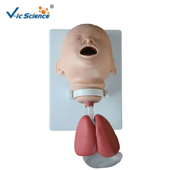 Kūdikių intubacijos mokymo modelis